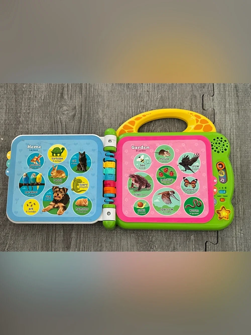N/A leapfrog 100